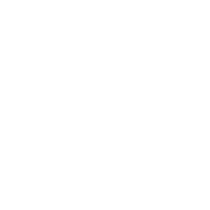 demo-attachment-1582-Rectangle-124